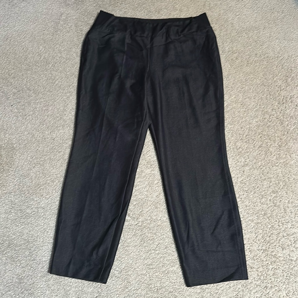 Investments womens Navy pants. Size 10